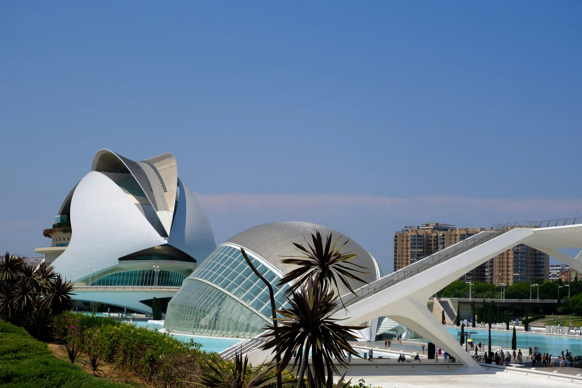 White architecture and blue pools in Valencia's City of Arts and Sciences